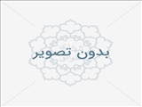 برگزاری مسابقه دو میدانی ویژه ایام دهه مبارک فجر 